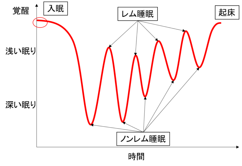 寝れない 睡眠の質が悪い 最新研究による最強睡眠メソッドを紹介 あなたが寝れない原因を徹底除去